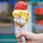 Madagascar Vanilla Bean